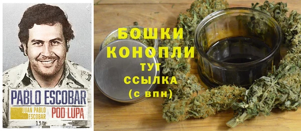 соль ск Осташков