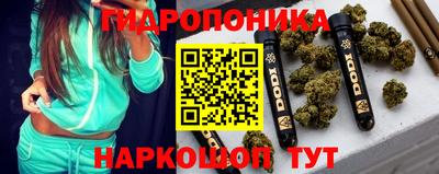 спиды Гатчина