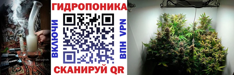 Шишки марихуана Amnesia  Новосибирск 